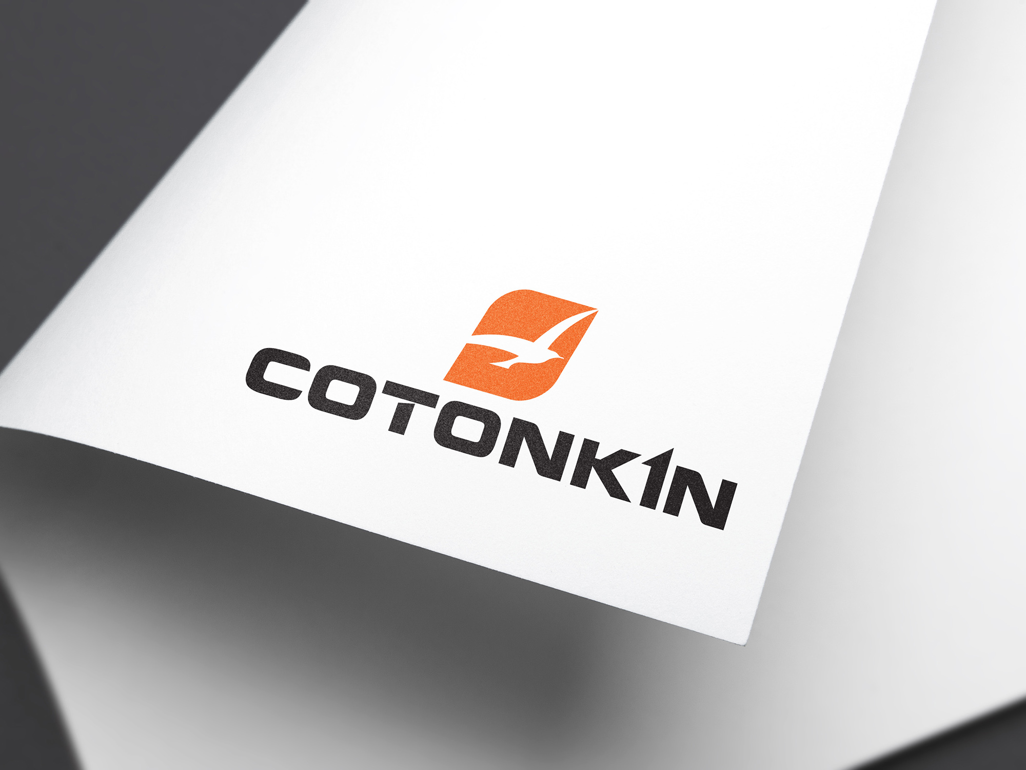 Thiết kế bộ nhận diện thương hiệu Cotonkin