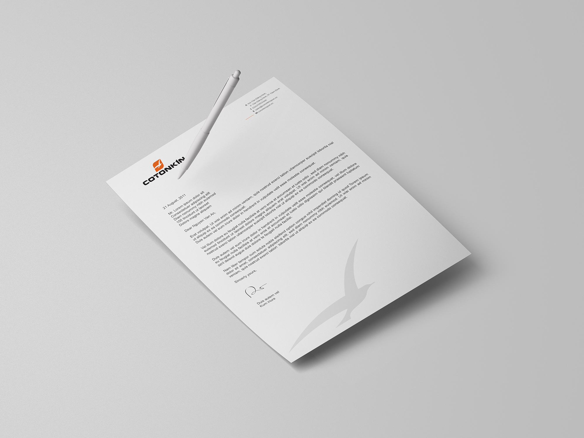 Cotonkin Brand Identity